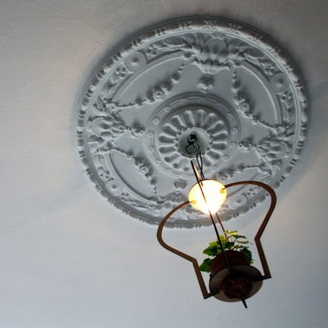 Laser Cut Plant Holder Ceiling Light
